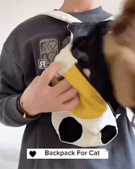 Comfortable & Breathable Backpack for Traveling with Pets