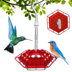 Bird Feeder