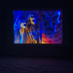 Halloween Wall Projector with Light Party