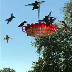 Pet Bird Feeder Outdoor Hanging Hexagon Wild Birds Feeder Food Dispenser Leak-Proof Hummingbird Feeder For Hummer Birds Bees