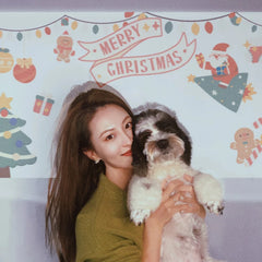 Halloween Wall Projector with Light Party