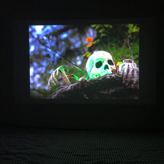Halloween Wall Projector with Light Party