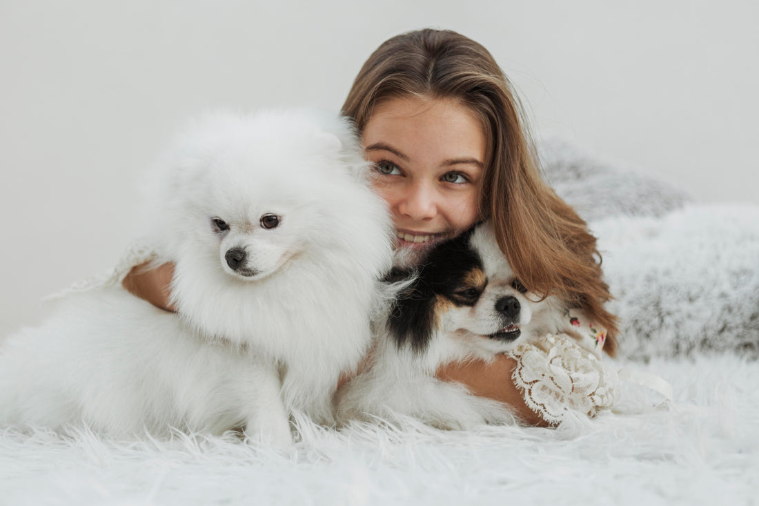 Pets